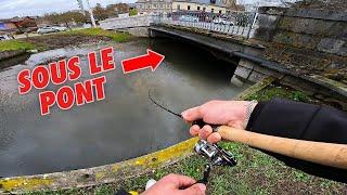 Je ne m'attendais pas à trouver ce poisson en pleine ville ! Pêche aux leurres  (C'est fou !) #EP2