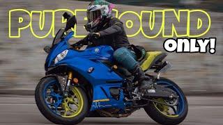 Pure Sounds only Yamaha R3 V2 Full system exhaust