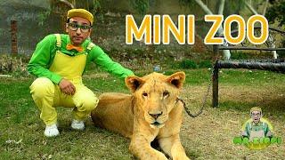 Mini Zoo - Mr. Zippi S1E06 | Fun Learning for Kids