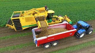 Potato Harvest | PLOEGER AR-4BX + Fendt & New Holland | Demijba / Van Peperstraten