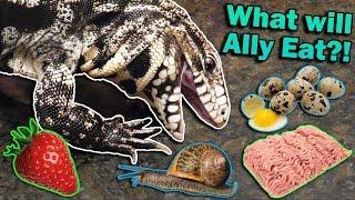 Finding our Tegu's Favorite Food!