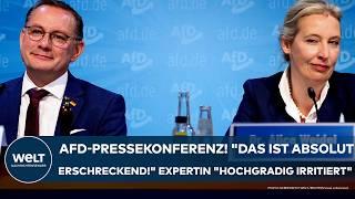 BRANDENBURG: AfD-Pressekonferenz! "Das ist absolut erschreckend!" Expertin "hochgradig irritiert"!