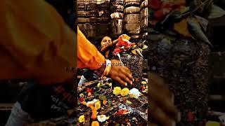 महादेव स्टेट्स वीडियो//Mahadev stetes video's 2024//DN SARDHA