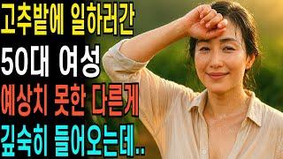 50대 여성 고추밭에 일하러 갔다가 생각지못한 경험에 당황하는데..  ㅣ황혼연애ㅣ노후사연ㅣ재혼ㅣ오디오북 |사연 |노후준비