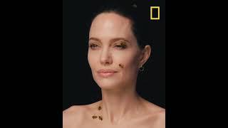 Angelina Jolie - Women for Bees