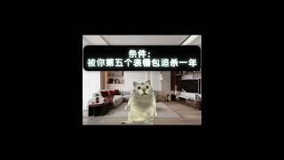 #猫meme #搞笑  #萌宠 #cat #萌寵  #funny #搞笑 #治癒小貓  #pets #有趣 #cute  #搞笑短視頻合集