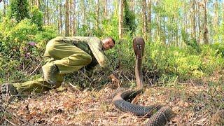 Suffocation. confront the giant king cobra monster that specializes attacking people in the forest.