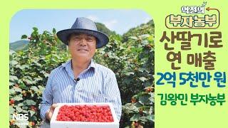 [역전의부자농부 258회] 산딸기로 연 매출 2억 5천만 원! 경북 경주 김왕민 부자농부