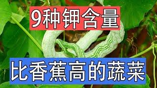 9种不打农药的绿色蔬菜，钾元素高过香蕉，夏季流汗没精神，补钾能让人精神饱满充满活力