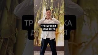 Тренировка дыхания из Цигун! #здоровье #дыхание #релакс #энергия #упражнения #тренировка #цигун #рек