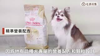 法國皇家 獸醫師推薦‣‣品種犬系列飼料 為即將長大的牠做準備｜毛孩市集 Petpetgo