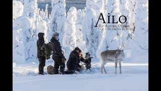 Ailo's Journey - Behind-the-Scenes Interviews with Reindeer Herder & Animal Trainer