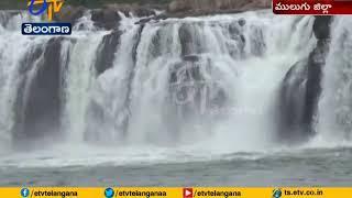 Bogatha Water Falls Attract Tourists  in Vajedu