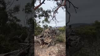 Mountain Top Views #mountains #views #outdoors