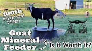 Mineral Feeder for Goats | Raising Goats | Kiko Goats