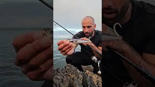 Topwater Fishing UK Bass