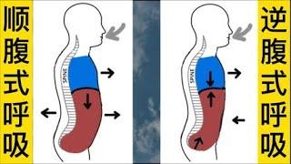 太极缠丝腰胯篇(6) 逆腹式呼吸 与 丹田内转、提肛的关系