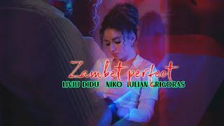 Liviu Didu Ft Niko & Iulian Grigoras - Zambet Perfect Official Video