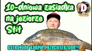 10 Nocek na jeziorze Stit zasiadka karpiowa @DKARPIO #fishing #karpiowanie #fox #ryby