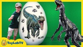 Giant Raptor Blue Dinosaur Egg! Surprise Toys & Dinosaurs For Kids from Jurassic World