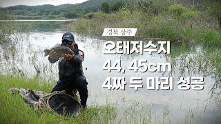 [낚시가 좋다] 25회_상주 오태지에서 4짜 붕어 두 마리 만났습니다