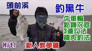 [釣魚達人#54] 新竹南寮漁港沙灘牛車輪釣黑牛(黑格/黑鯛)沉底三連勾雞肉釣法.....{{新人教學篇}}