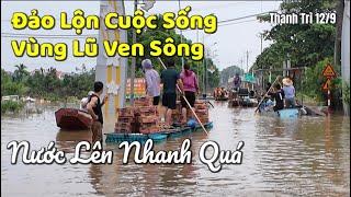 Sông Hồng Nước Lũ Dâng Sát Bờ Đê - Đảo Lộn Cuộc Sống Bà Con Vùng Lũ Ven Sông | Tuấn Nguyễn Csqt