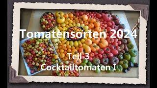 Tomatensorten 2024 Teil 3 - Cocktailtomaten I