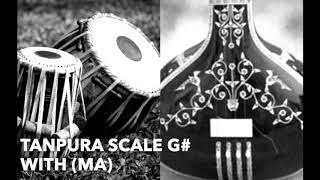 TANPURA G# with Ma (Madhyam) | scale G sharp