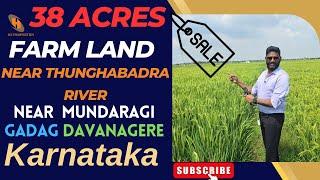 38 Acres Farm land for Sale Near  Mundaragi Gadag Davanagere Karnataka