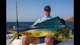 best Mahi Mahi fight on light tackle