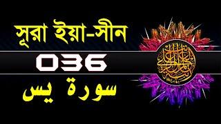 36 Surah Ya Sin with bangla translation   recited by mishari al afasy