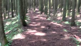 #008 富士山世界文化遺産シリーズ 須山口登山道vol①　"Mount Fuji Suyamaguchi Climbing Trail"