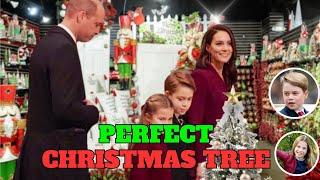 Princess Catherine's TOP Christmas Tree Search with George and Charlotte