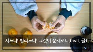 [락서]사느냐, 빌리느냐. 그것이 문제로다.(feat. 귤)