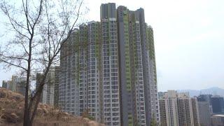 Choi Wo House, Choi Fook Estate 彩福邨彩和樓 (Mar, 2021)