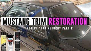 Foxbody Mustang Trim Painting on Project "Tax Return" - TIPS04E19