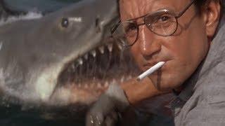 The Onion Looks Back At 'Jaws'