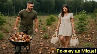 СТІЛЬКИ ГРИБІВ НЕ Було 100 РОКІВ! НЕТРОНУТІ ПЛАНТАЦІЇ БІЛИХ ГРИБІВ - Гриби 2025. Гриби 2025