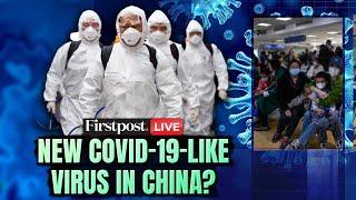 China Virus LIVE: COVID-19 Like Human Metapneumovirus Outbreak in China | HMPV Virus