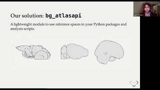 Talk: BrainGlobe: a Python ecosystem for computational (neuro)anatomy