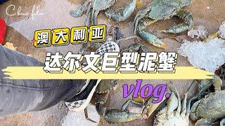 野外求生｜澳大利亚北领地旅拍｜达尔文巨型泥蟹｜带你玩东西｜澳洲旅游