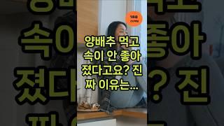 양배추와 상극 채소 5가지 #양배추실화 #채소궁합주의 #위장건강 #영양상식 #건강조합