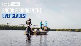 Snook Fishing in the Everglades!