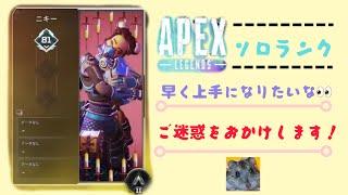 朝活ソロで練習エペ女子！APEX初心者！挨拶だけでもしてくれたら嬉しい！ニキーのニはカタカナのニーー！1時間だけ！