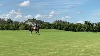 At Home with Glenbeigh Farm | Walk—Canter Transitions (Skipping a Gait) | Show Jumping Training Tips