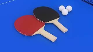 Butterfly Fitness Indoor Table Tennis Table Overview