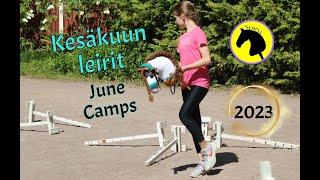 June Camps 2023 // Semina's Hobbyhorse camps