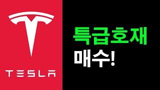 테슬라, 비트코인 차트분석   #테슬라 #비트코인