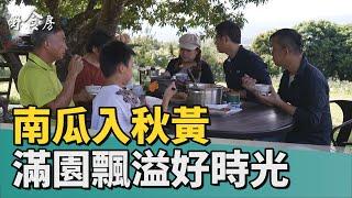 野食房｜南瓜入秋黃 滿園飄溢好時光